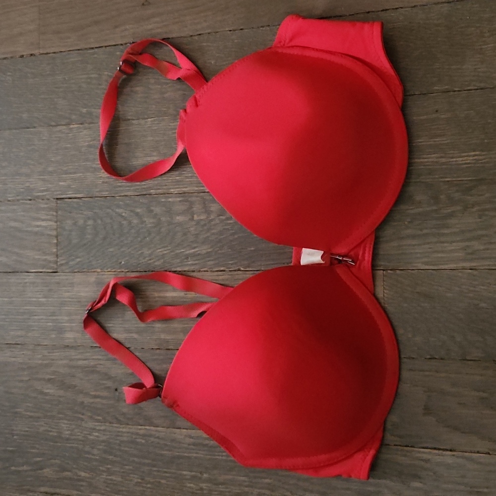 Fedricks bra 34 C